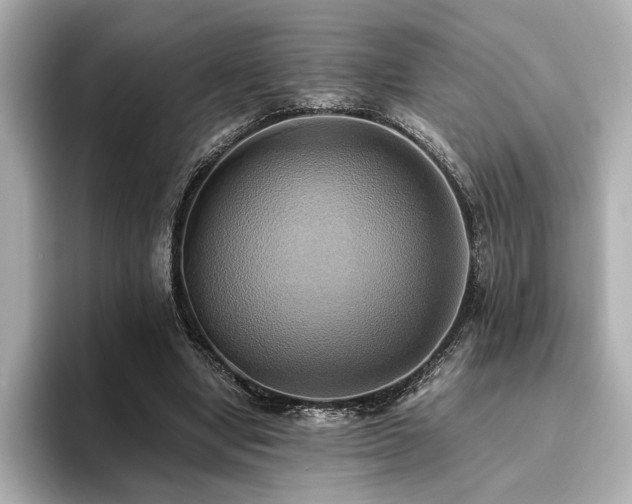 X0000093610442200710151242
