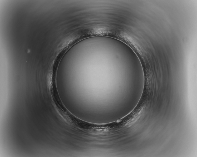 X0000093610443200710151242