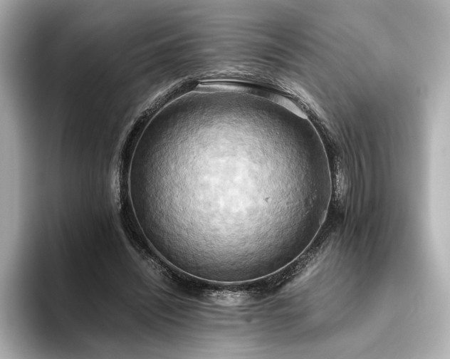 X0000093610444200710151242