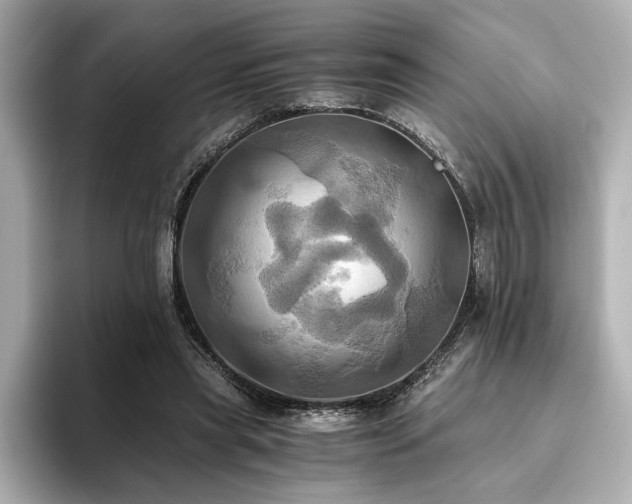 X0000093610445200710151242