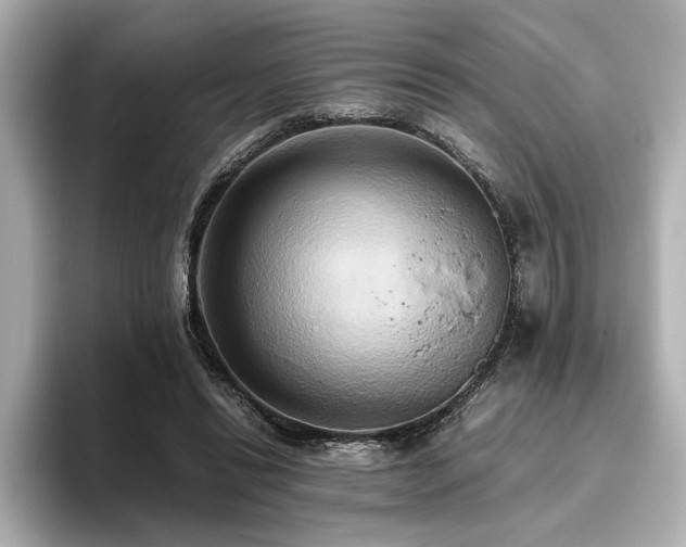 X0000093610446200710151242