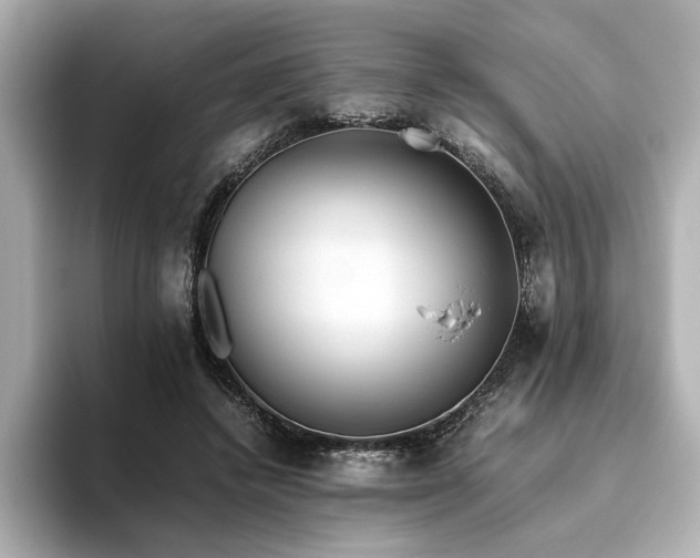 X0000093610448200710151242