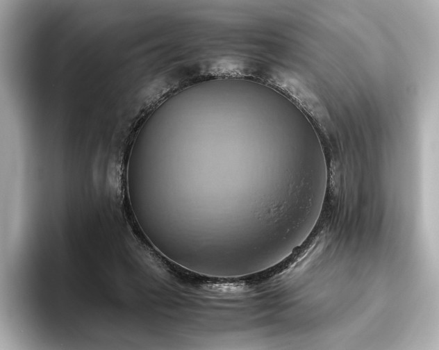 X0000093610449200710151242