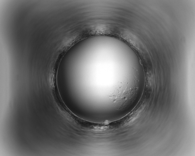 X0000093610450200710151242