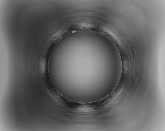 X0000093610451200710151242