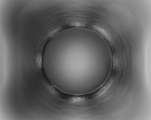 X0000093610453200710151242