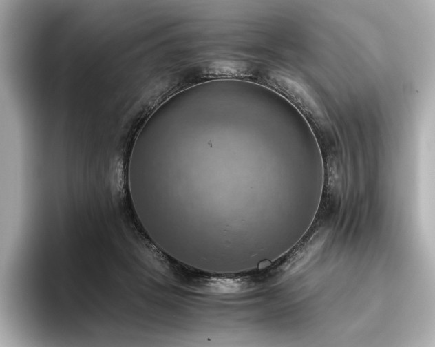 X0000093610457200710151242