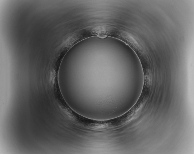 X0000093610458200710151242
