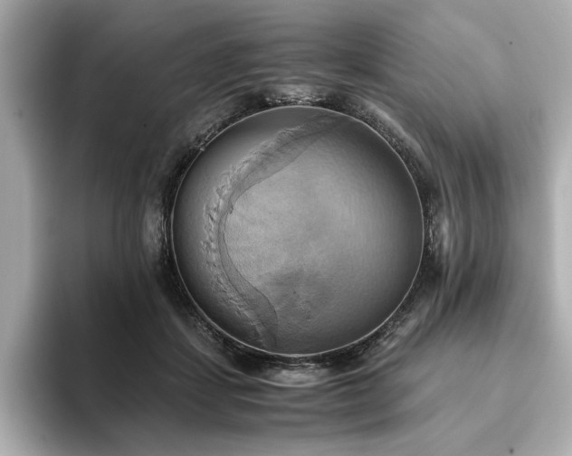 X0000093610459200710151242