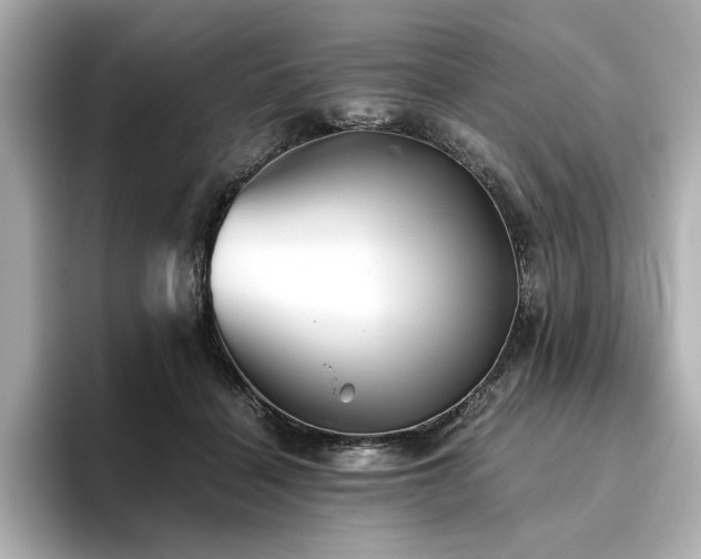 X0000093610460200710151242