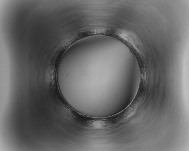 X0000093610462200710151242