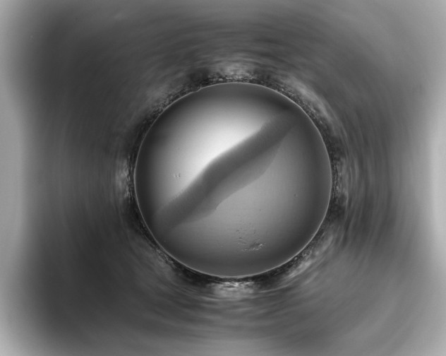 X0000093610465200710151242