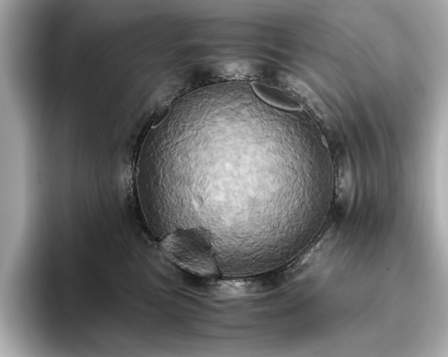 X0000093610473200710151242