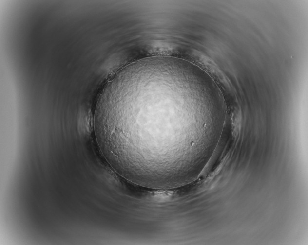 X0000093610474200710151242