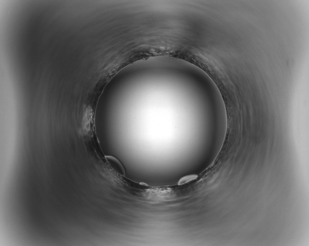 X0000093610480200710151242