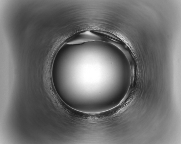 X0000093610481200710151242
