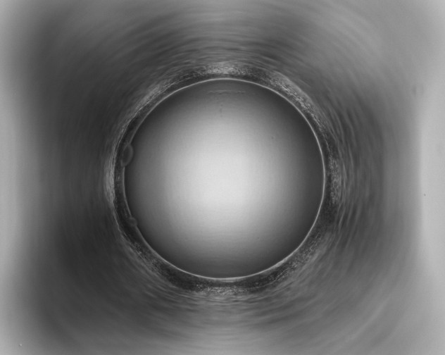 X0000093610482200710151242