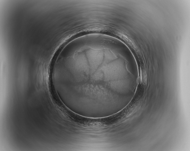 X0000093610483200710151242