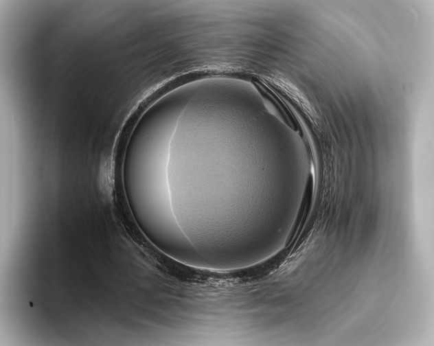 X0000093610484200710151242