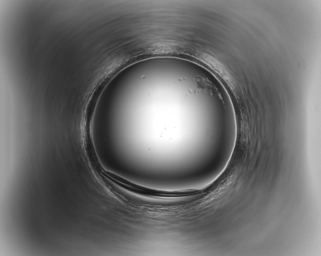 X0000093610485200710151242