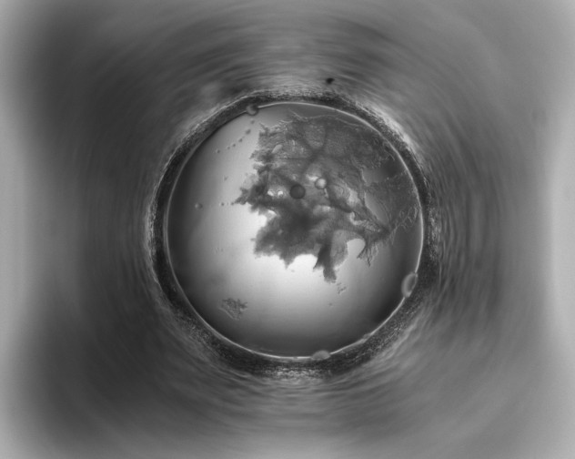 X0000093610487200710151242