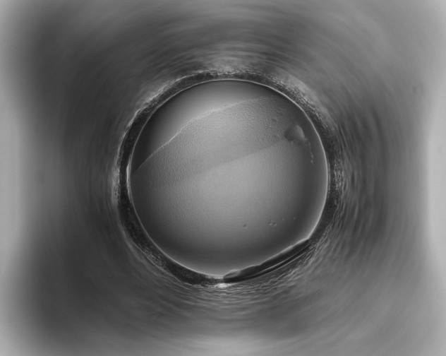 X0000093610488200710151242