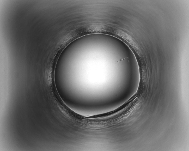 X0000093610489200710151242