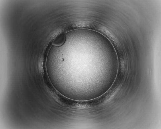 X0000093610490200710151242
