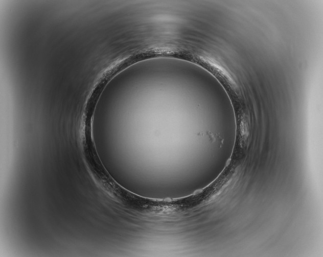 X0000093610492200710151242