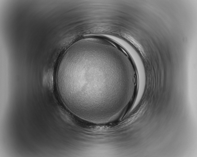 X0000093610493200710151242
