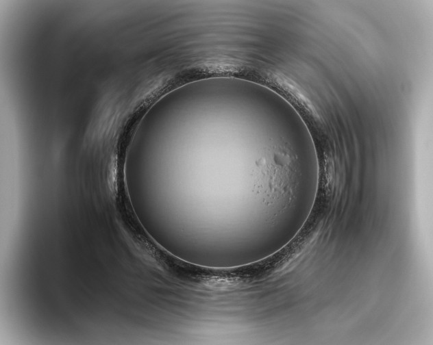 X0000093610494200710151242