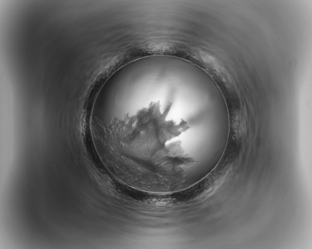 X0000093610495200710151242
