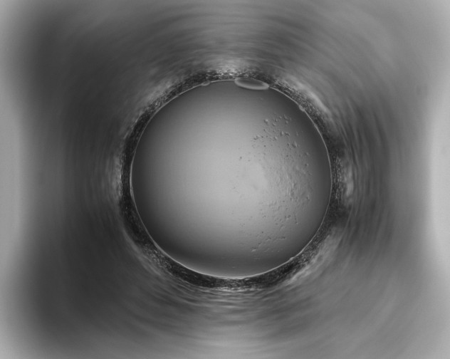 X0000093610496200710151242