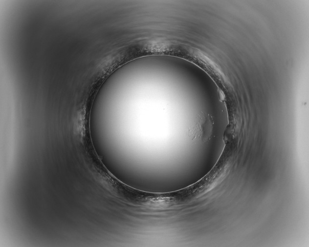 X0000093610497200710151242