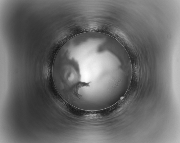 X0000093610499200710151242