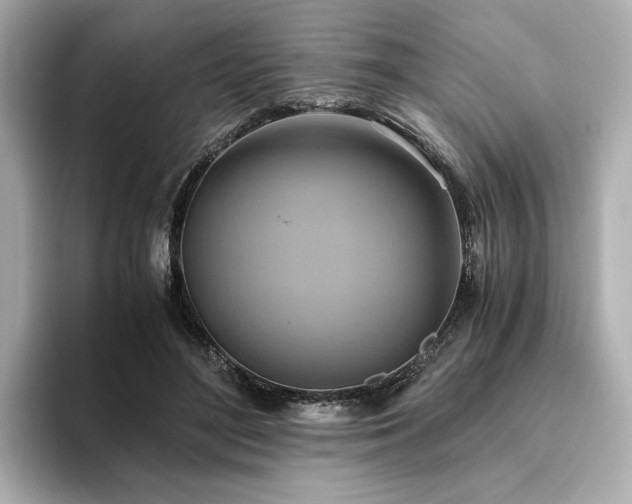 X0000093610500200710151242