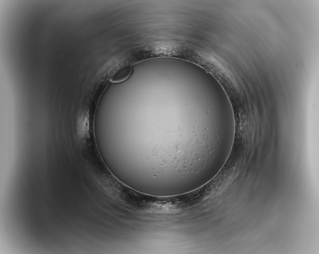 X0000093610502200710151242