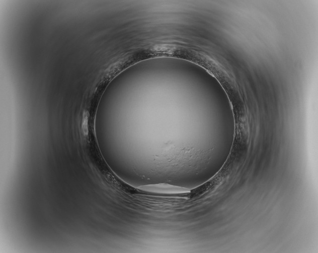X0000093610504200710151242
