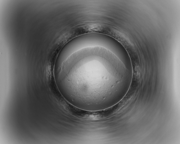 X0000093610506200710151242