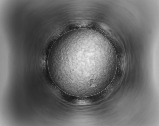 X0000093610510200710151242
