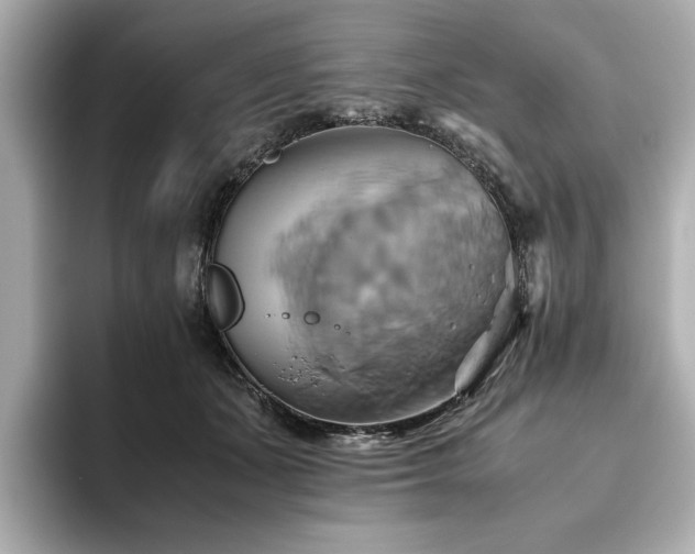 X0000093610511200710151242