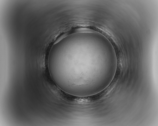 X0000093610512200710151241