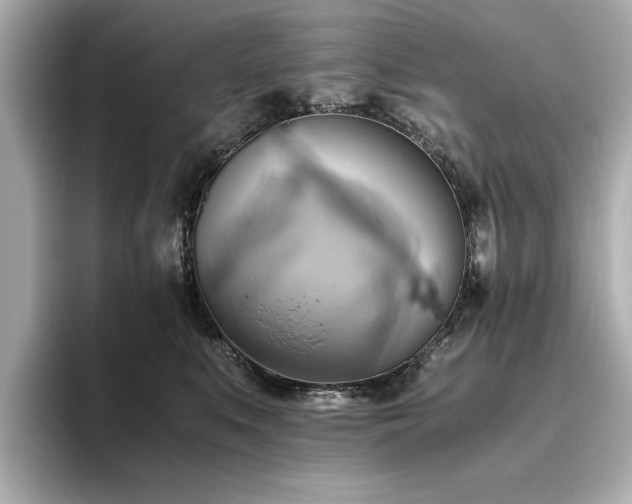 X0000093610519200710151241