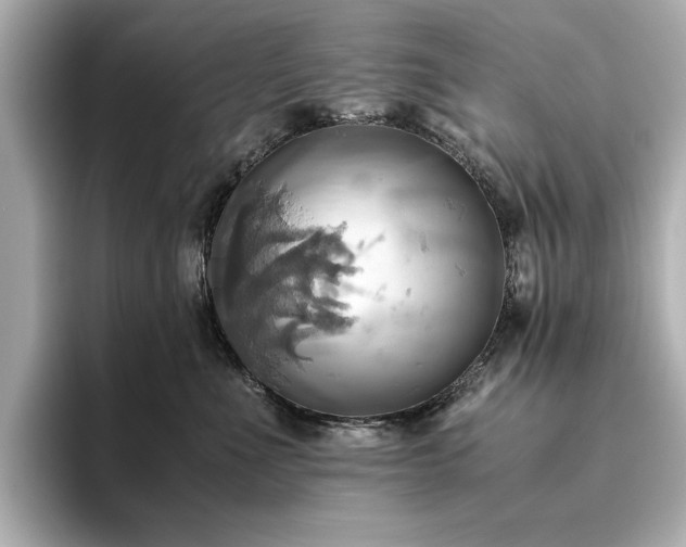 X0000093610523200710151241