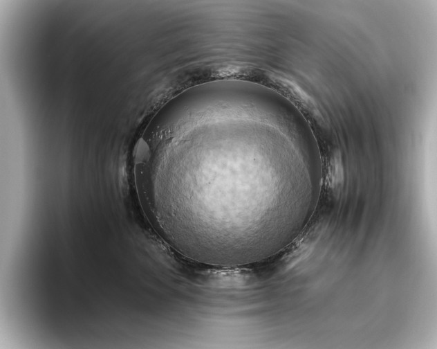 X0000093610524200710151241