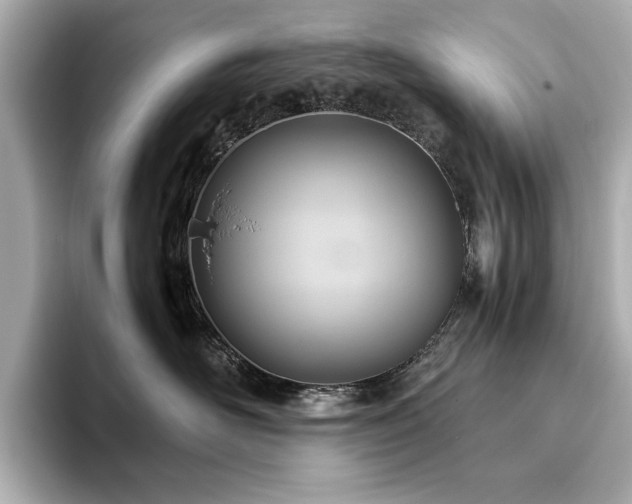 X0000093610526200710151241