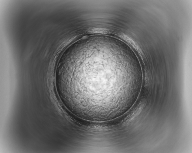 X0000093610529200710151241