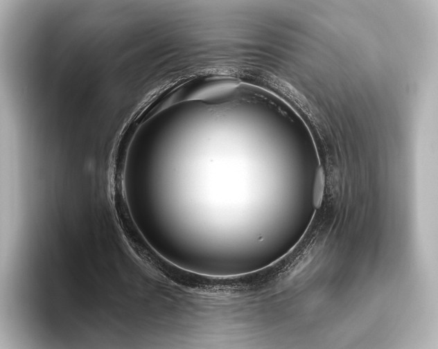 X0000093610530200710151241