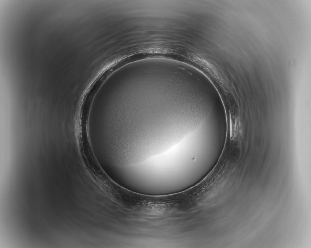 X0000093610531200710151241