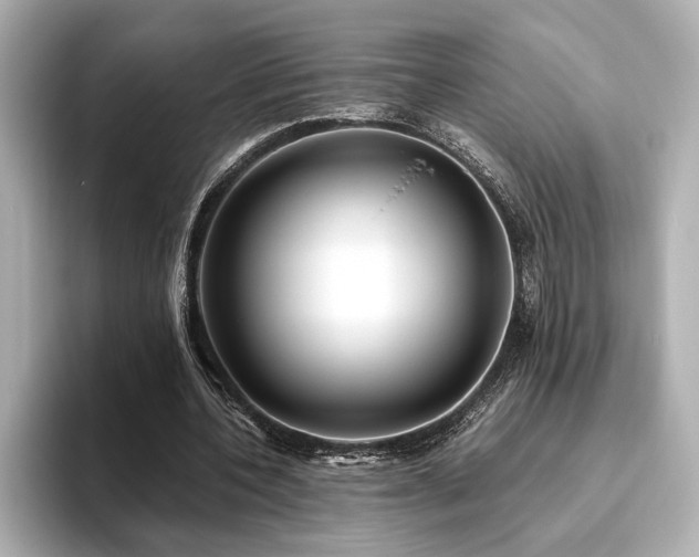 X0000093610532200710151241
